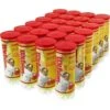 Wilson Championship Tennis Balls Extra Duty 24/Case 2 Wilson Championship Tennis Balls Extra Duty 24/Case -Best Tennis Equip Shop wilson championship tennis balls extra duty 24 cas